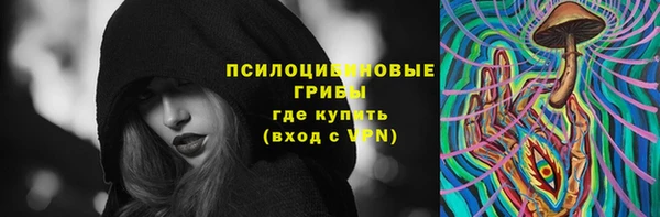 бошки Бронницы