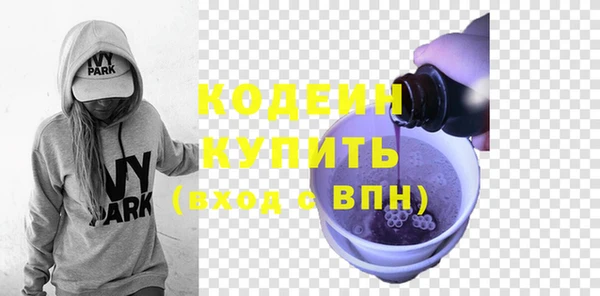 дурь Бородино