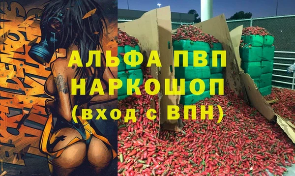гидра Верея