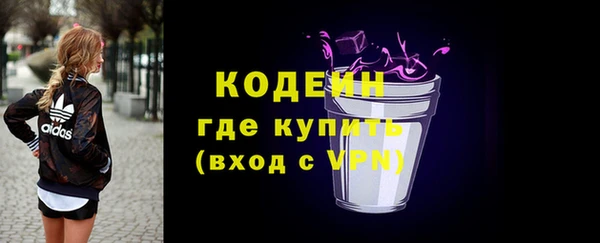 дурь Бородино