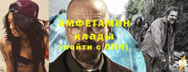 дурь Бородино