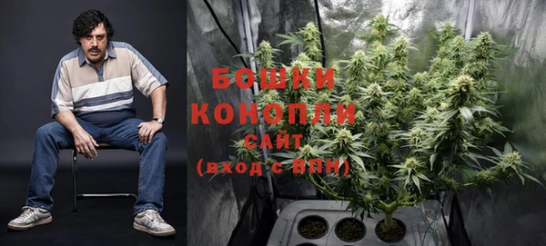 гидра Верея