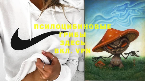 дмт Верхний Тагил